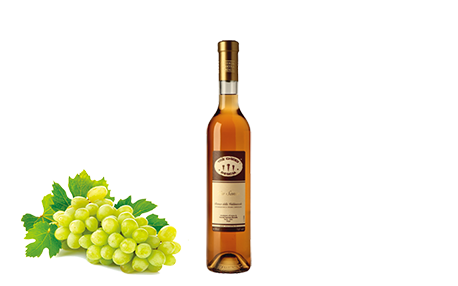 Vin Santo “Tre Chiodi” D.O.C. Bianco della Valdinievole
